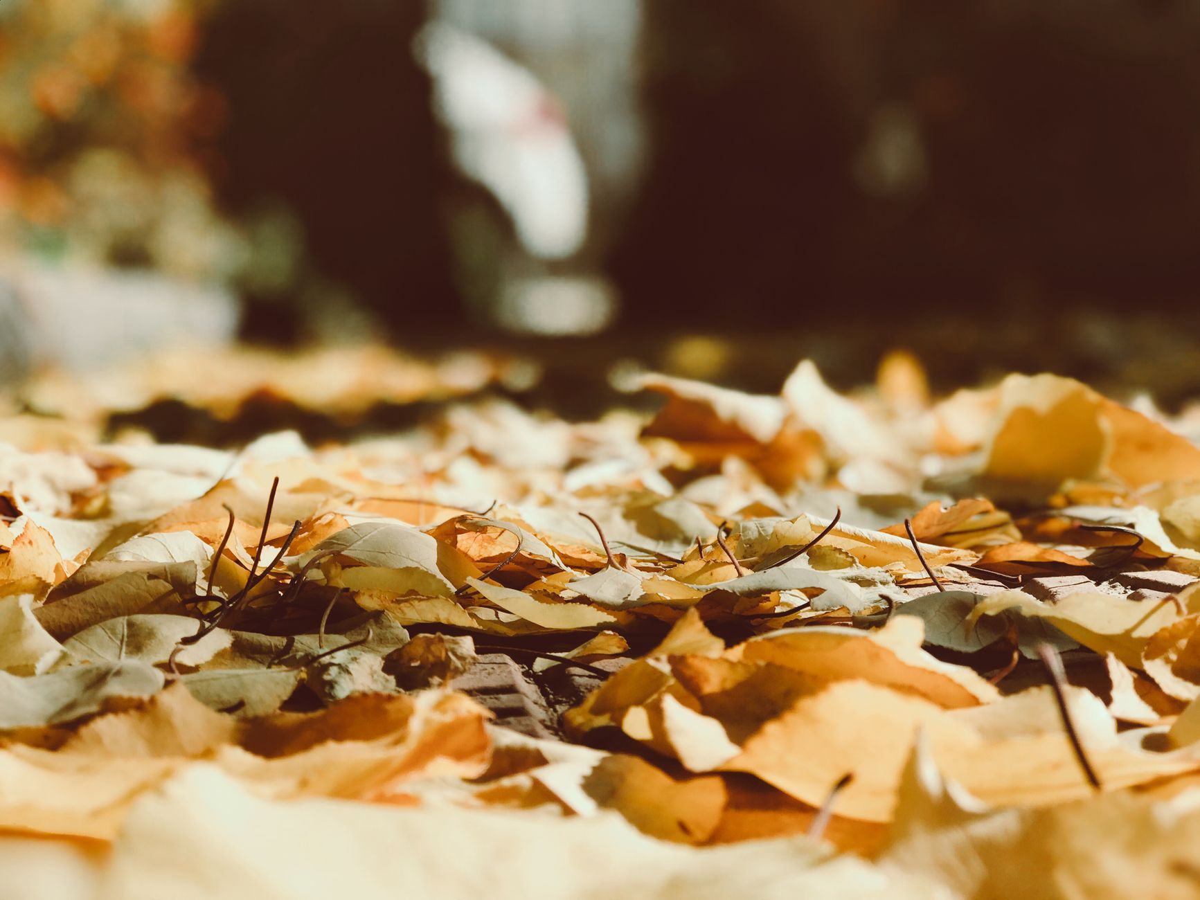 The Season Everything Needs Attention at Once